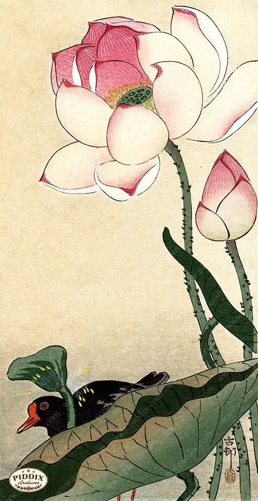 printable japanese flowers