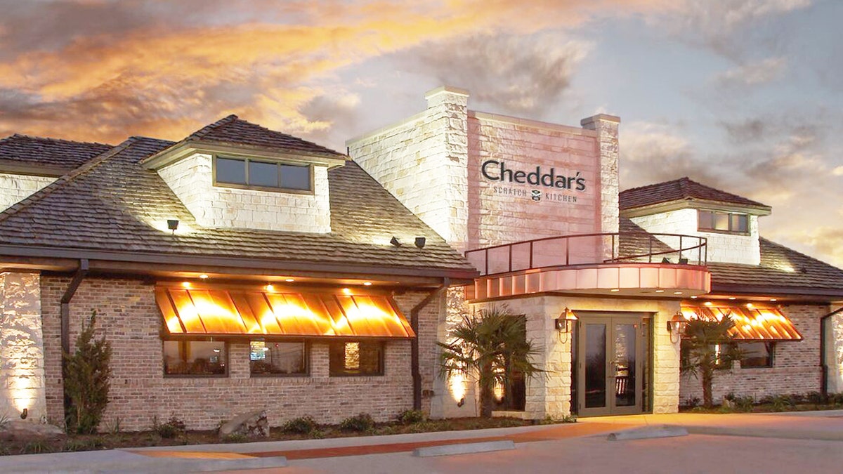 printable job application for cheddars
