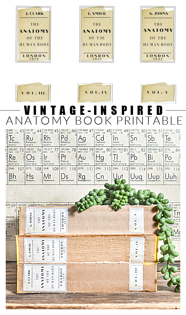 Free Printable: Vintage-Inspired Anatomy Book Labels | Little ...
