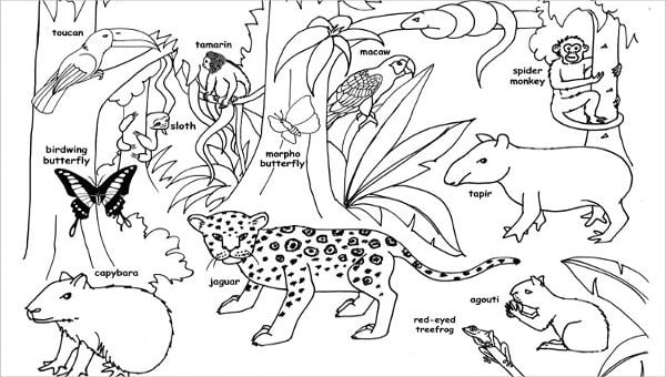 printable jungle animal coloring pages