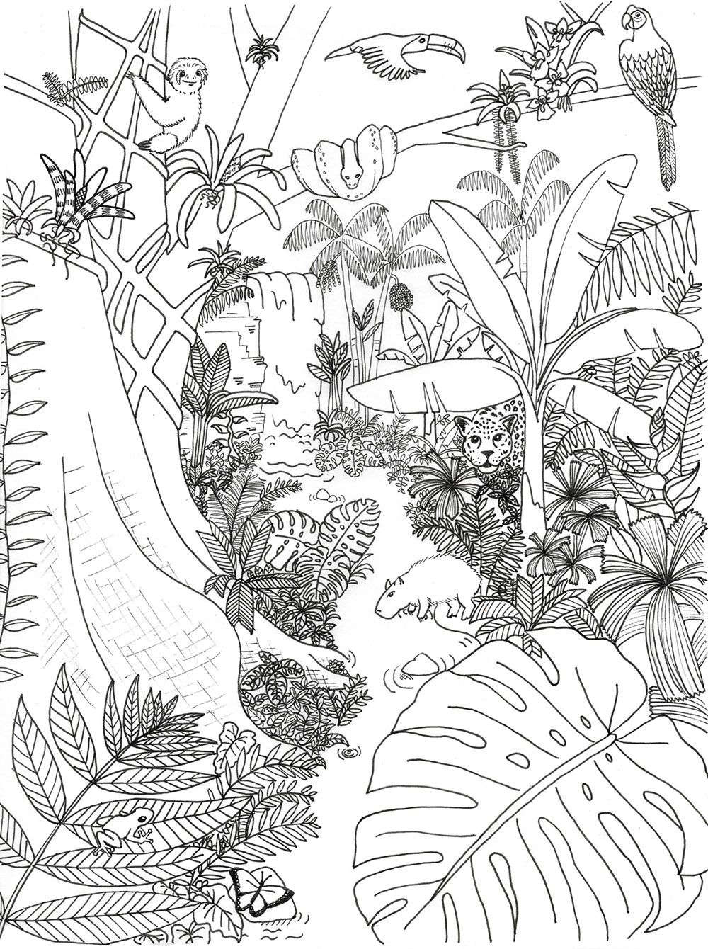 printable jungle coloring pages