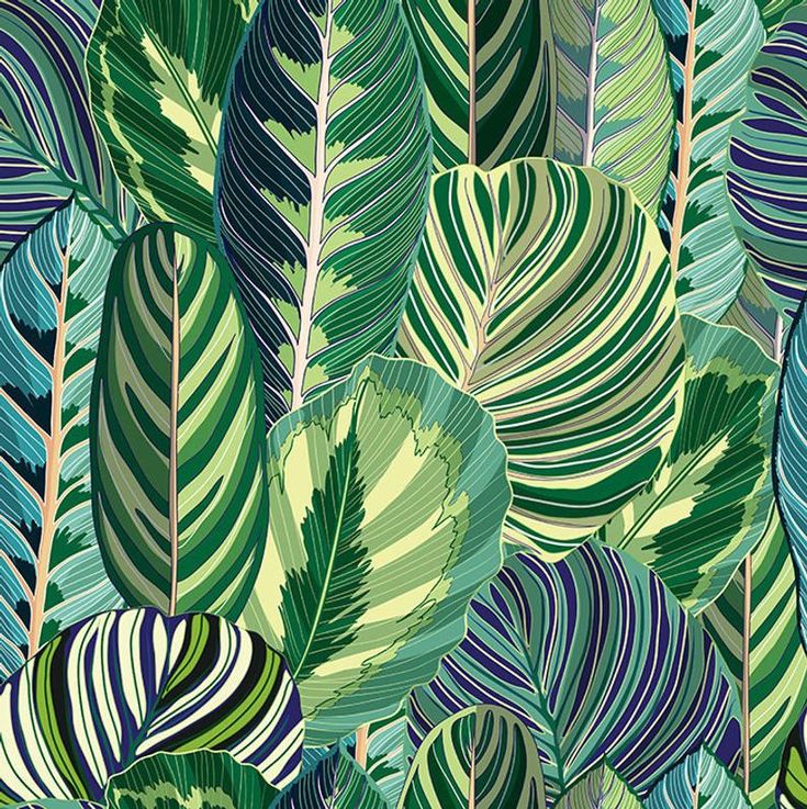 Jungle Printable Scrapbooking Paper Digital Paper Pack | Etsy