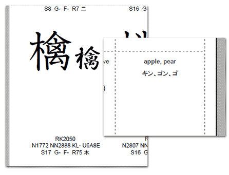 Remembering The Kanji Flash Cards | Polarcloud.com