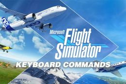 Controls/Keyboard Commands for FSX