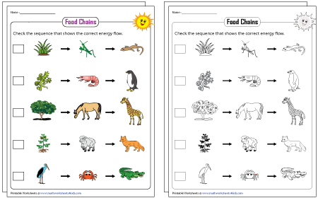 printable kids worksheet