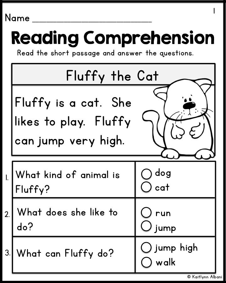 Kindergarten Reading Comprehension Passages - Set 1 FREEBIE