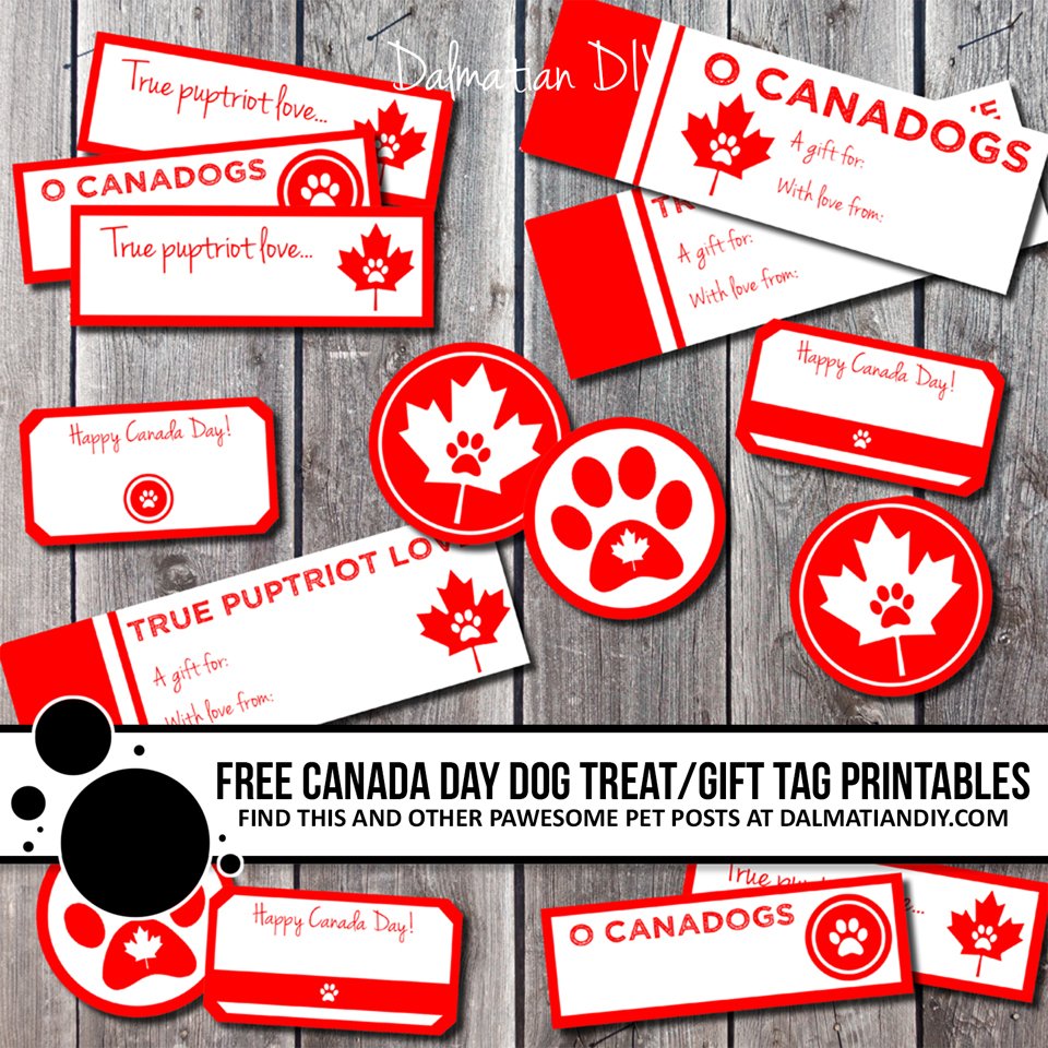 Free Printable Canada Day Dog Treat Tags and Labels - Dalmatian DIY