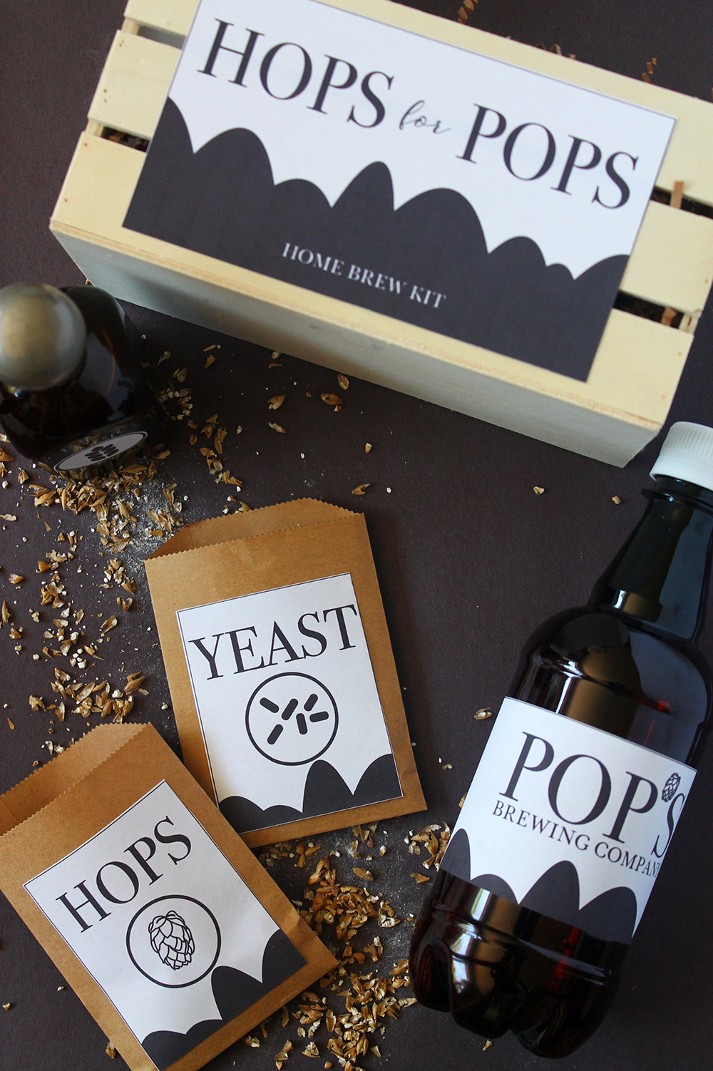 DIY | Fathers Day Homebrew Kit with Printables - Squirrelly Minds