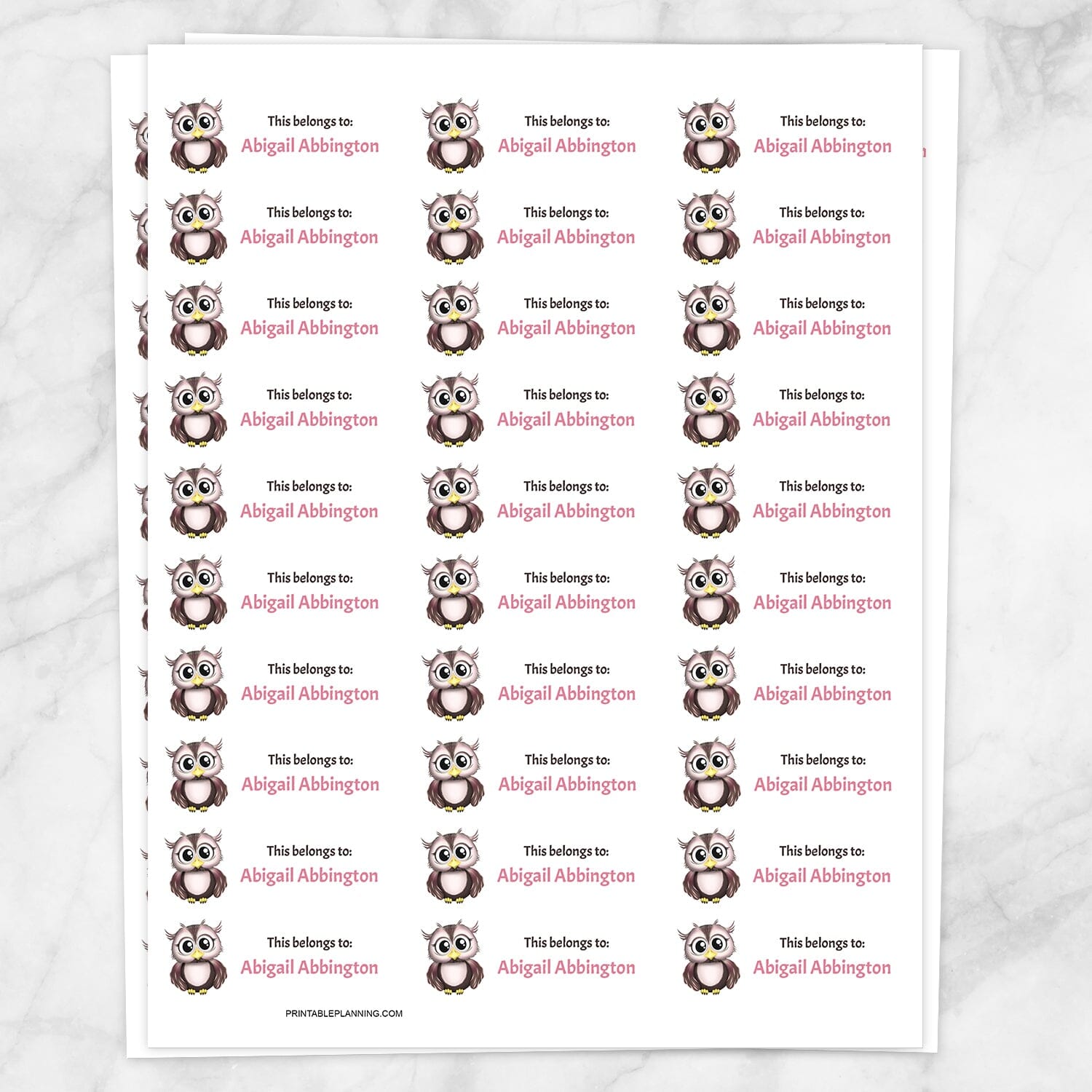 Adorable Owl Name Labels for School Supplies - Printable at ...