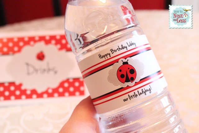 Ladybug Themed Birthday Party with FREE Printables! - Design Dazzle