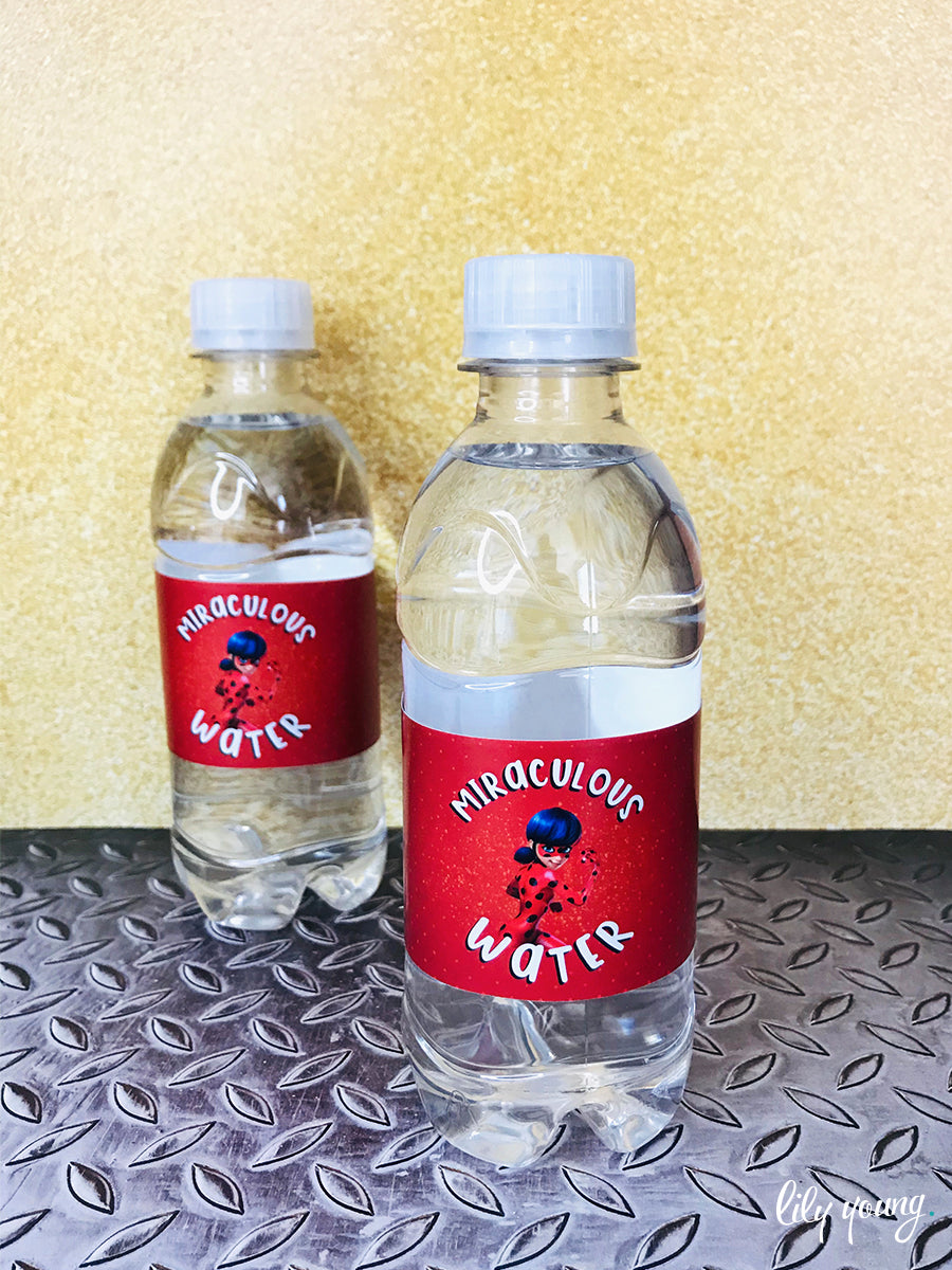 Ladybug &  Cat Noir Water Bottle Labels | Birthdays | Lily Young ...