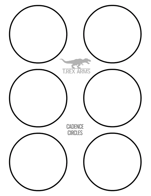 Shooting Training Targets: Bullseye Target - Triumph Systems
