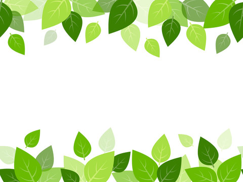 printable leaf borders