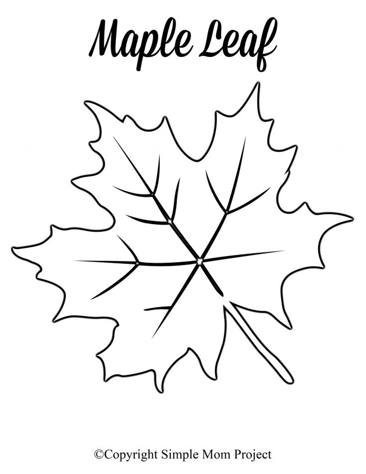 Free Printable Large Leaf Templates, Stencils and Patterns ...