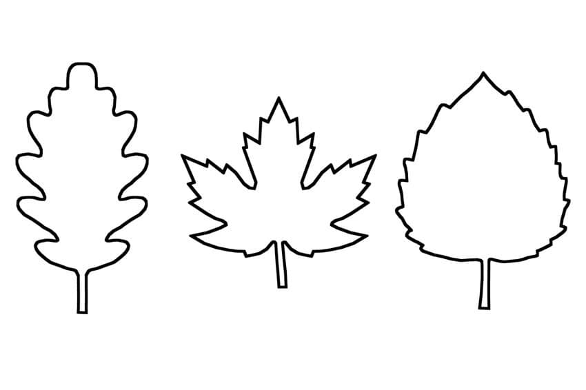 Leaf Template | Free Printable Leaf Outlines - One Little Project