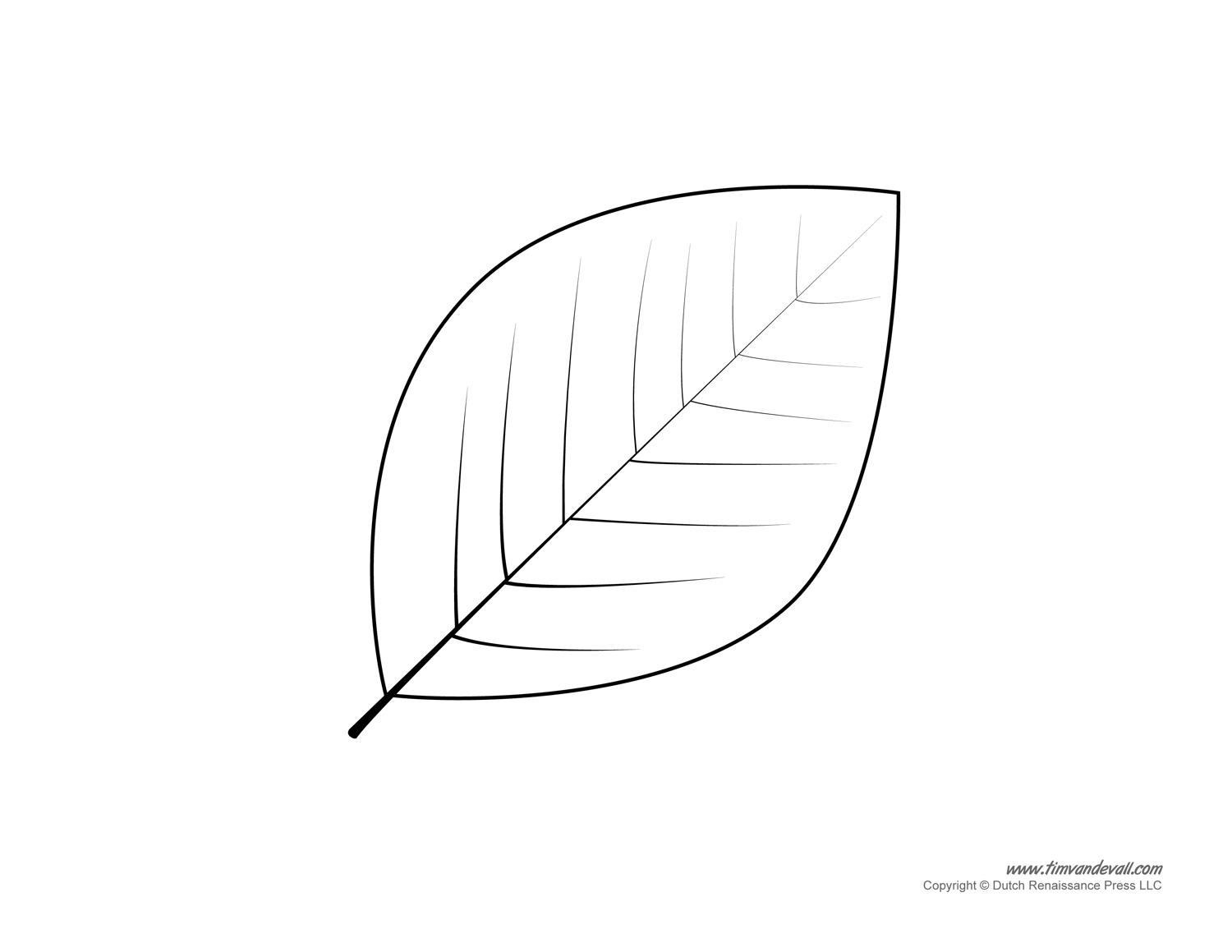 Leaf Templates &  Leaf Coloring Pages for Kids | Leaf Printables