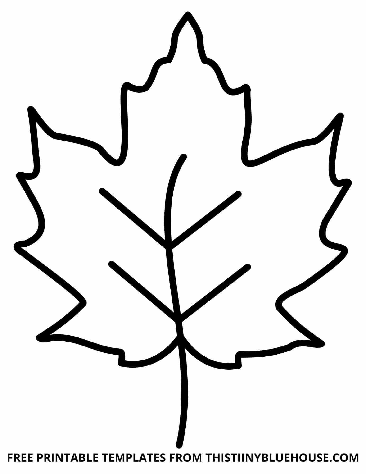 Free Leaf Template Printable (6 sizes of Leaf Outlines Small ...