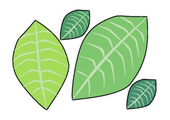 Printable Leaf template Color, No Color, Only Outline for creating ...
