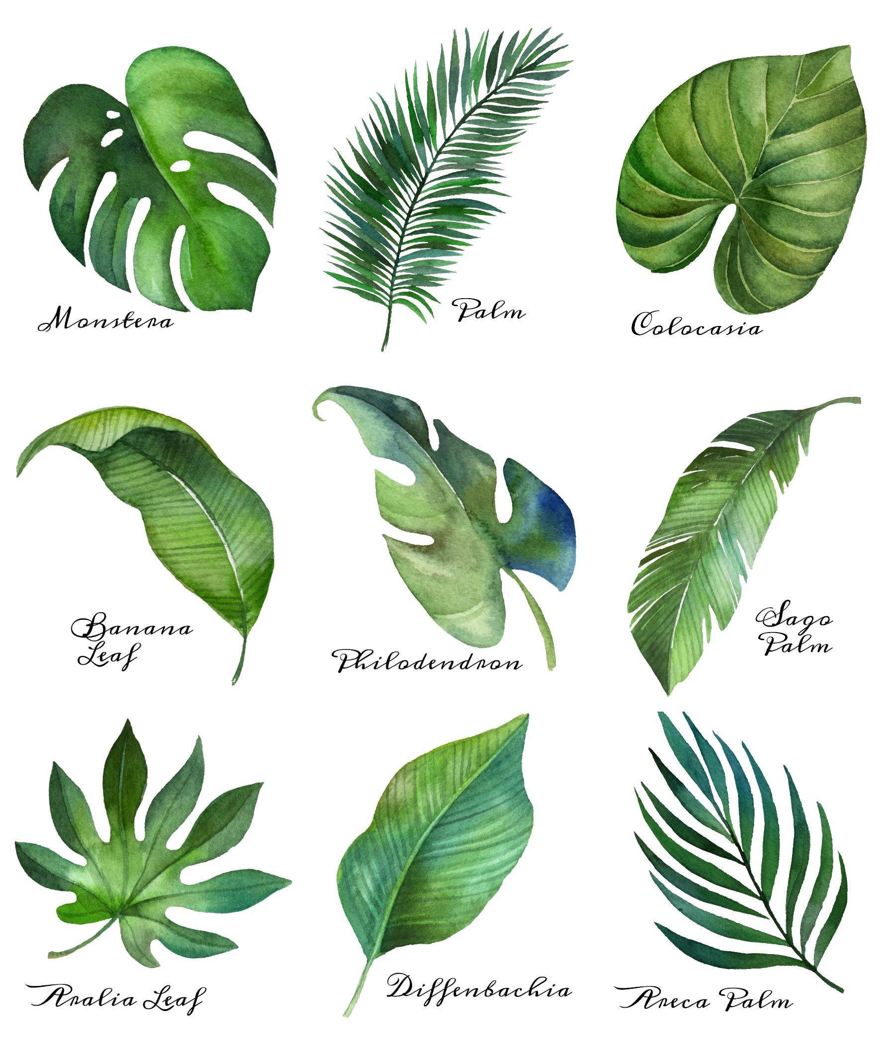 Tropical Leaf Free Printable Art {Series of 9} | The Happy Housie