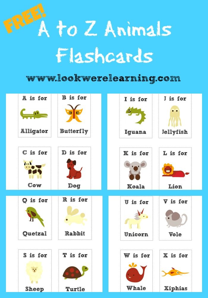 Free Printable Flashcards Alphabet Animals - Look! Were Learning!