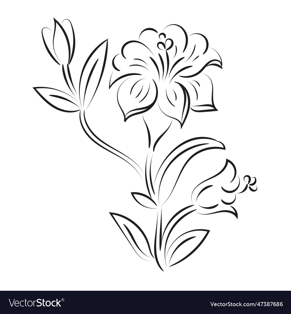 Flowers and leaves outline for print Royalty Free Vector