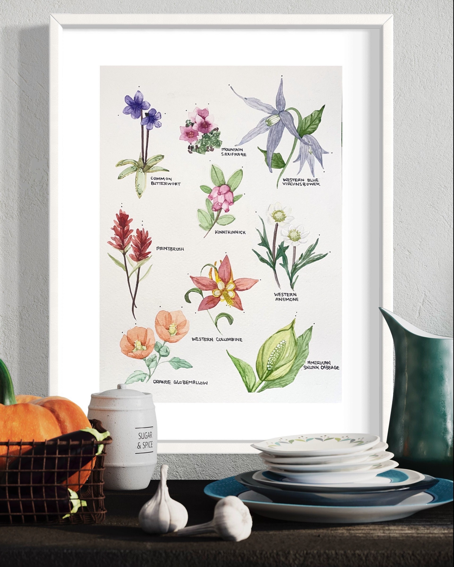 9x12 Rockies Wildflowers Vintage Botanical Poster Original ...