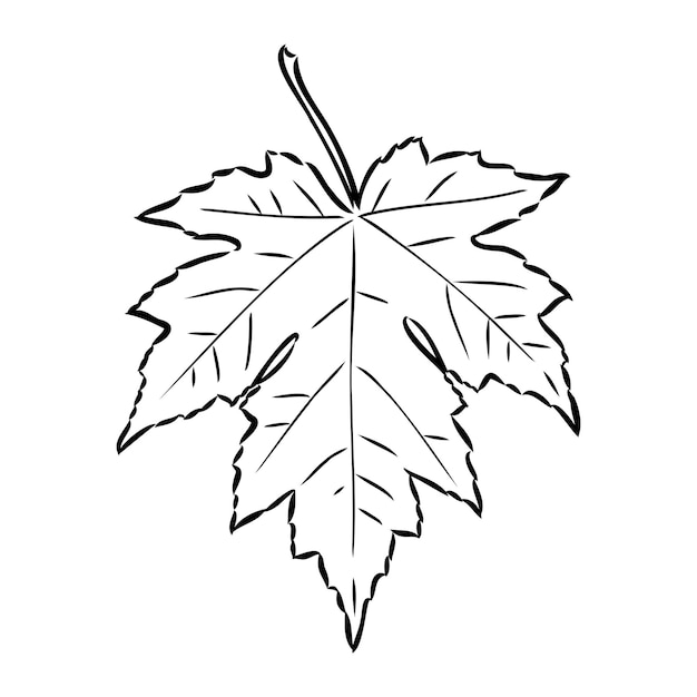 printable leaves clip art