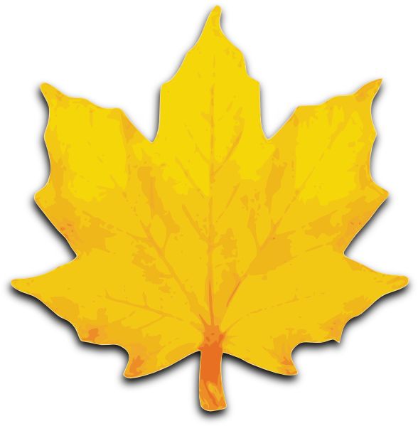 printable leaves clip art