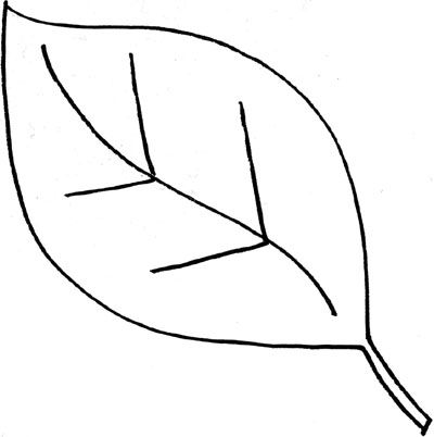 printable leaves clip art