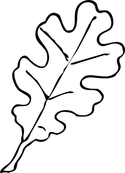Fall Leaves Clipart - ClipartSign