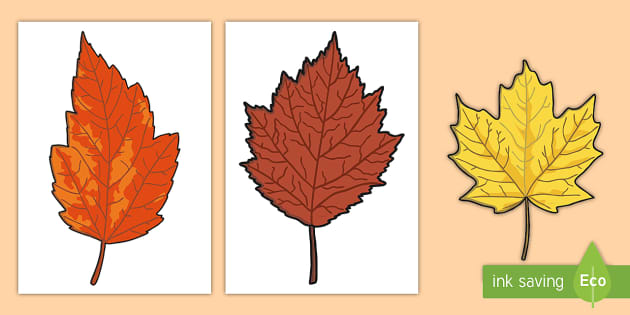 printable leaves for bulletin board
