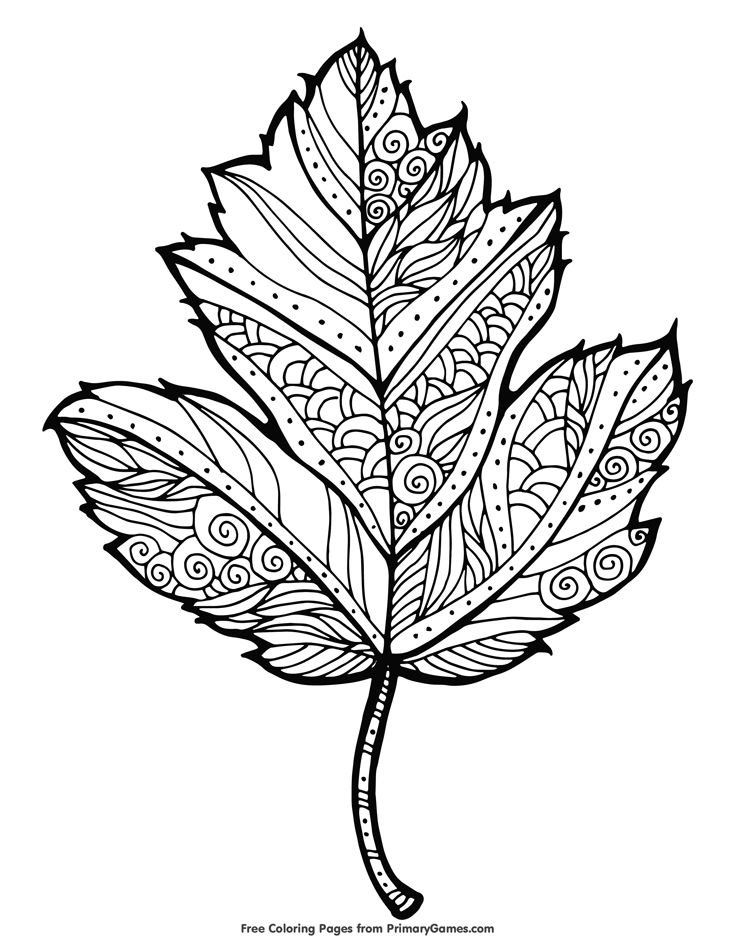 Maple Leaf Coloring Page • FREE Printable eBook