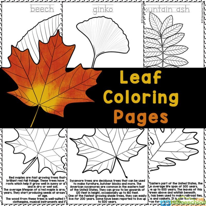 printable leaves images