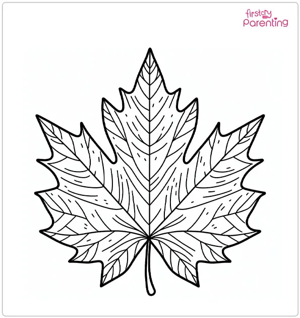 printable leaves images