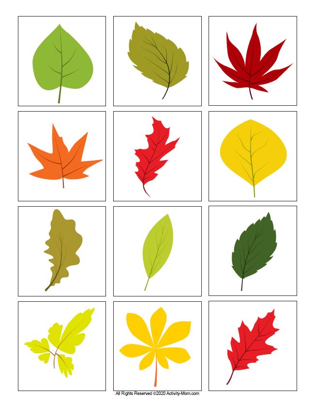 Leaf Color Matching (printable) - The Activity Mom