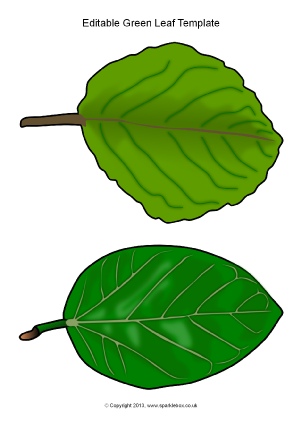 Plants and Nature-Themed Editable Classroom Display Resources ...