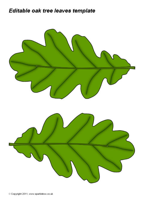 Editable Oak Tree Leaves Template (SB5730) - SparkleBox