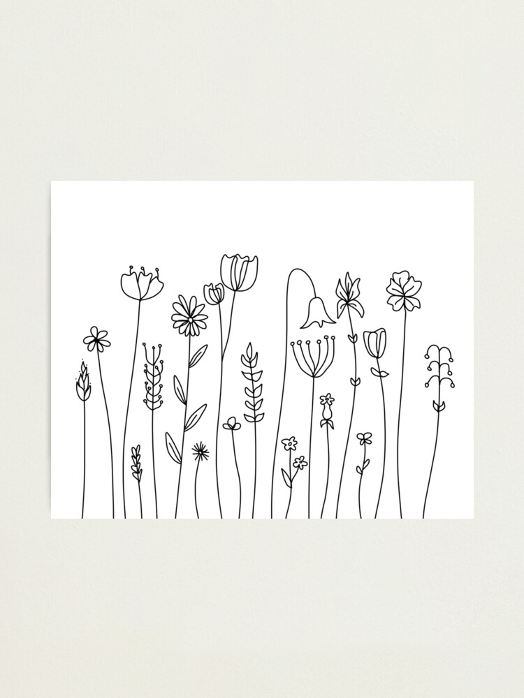 Free printable line drawings of flowers, Download Free printable line ...