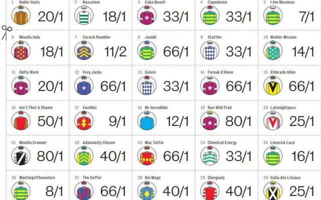 printable list grand national runners