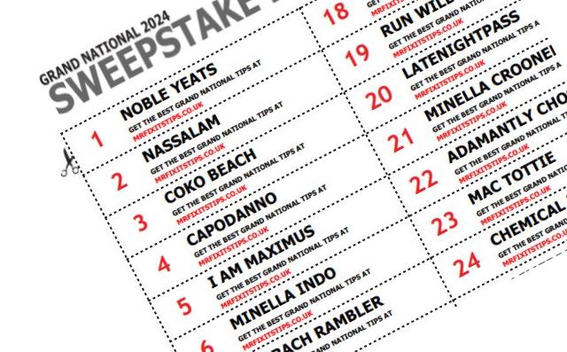 printable list grand national runners