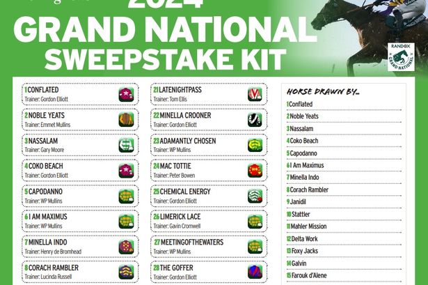 printable list grand national runners