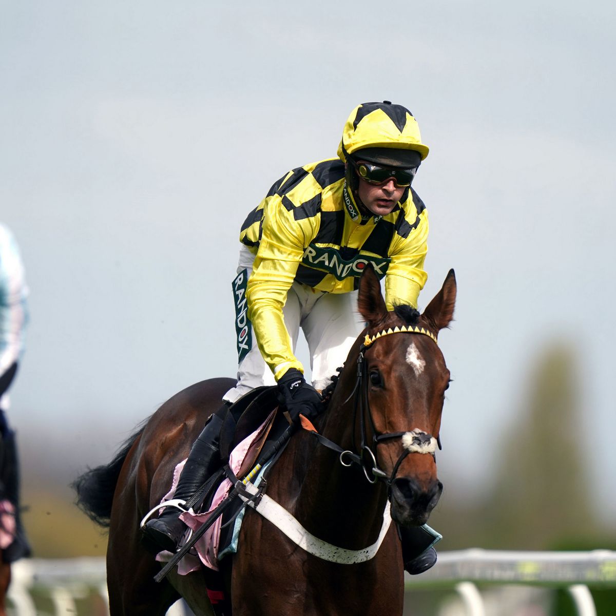 printable list grand national runners