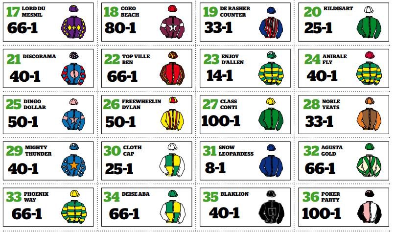 Grand National sweepstake kit 2022: How to download and print ...
