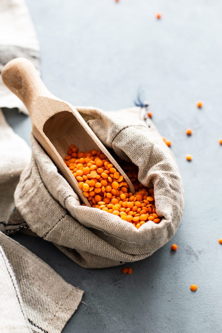 printable list of high protein foods