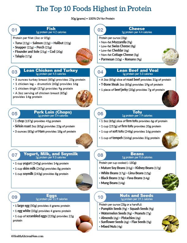 printable list of high protein foods