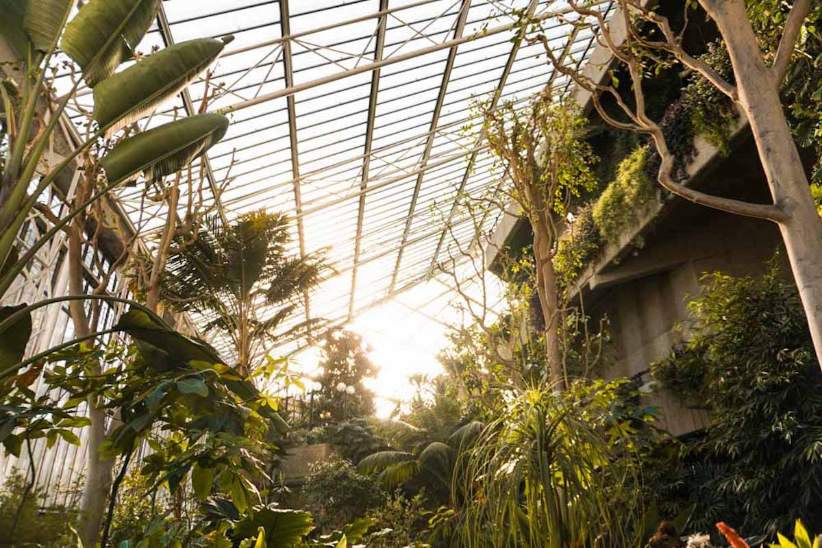 printable list of things to do in london