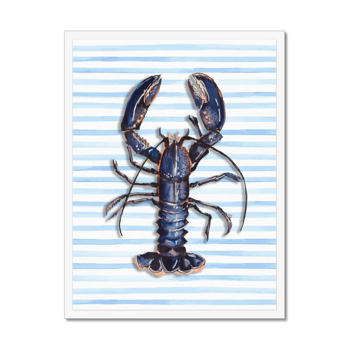 printable lobster pictures