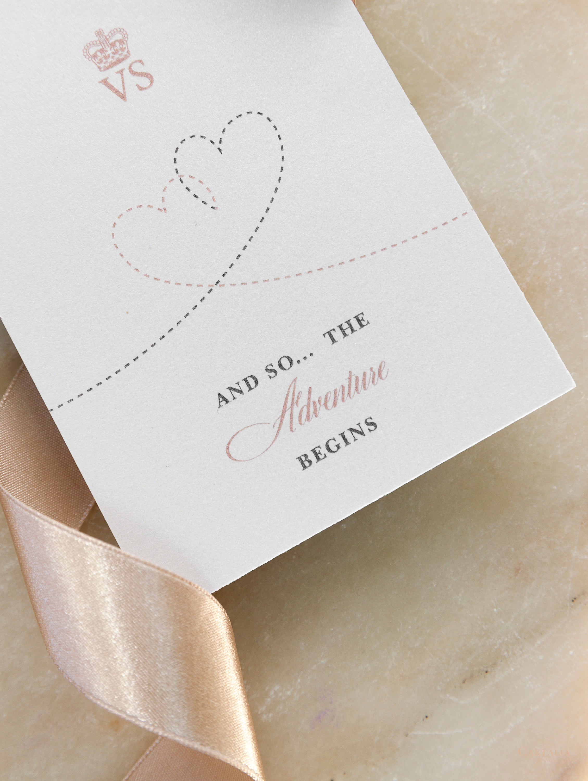 Silver and Blush Passport Luggage Tag Save the Date Card Travel ...