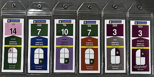 printable luggage tags royal caribbean