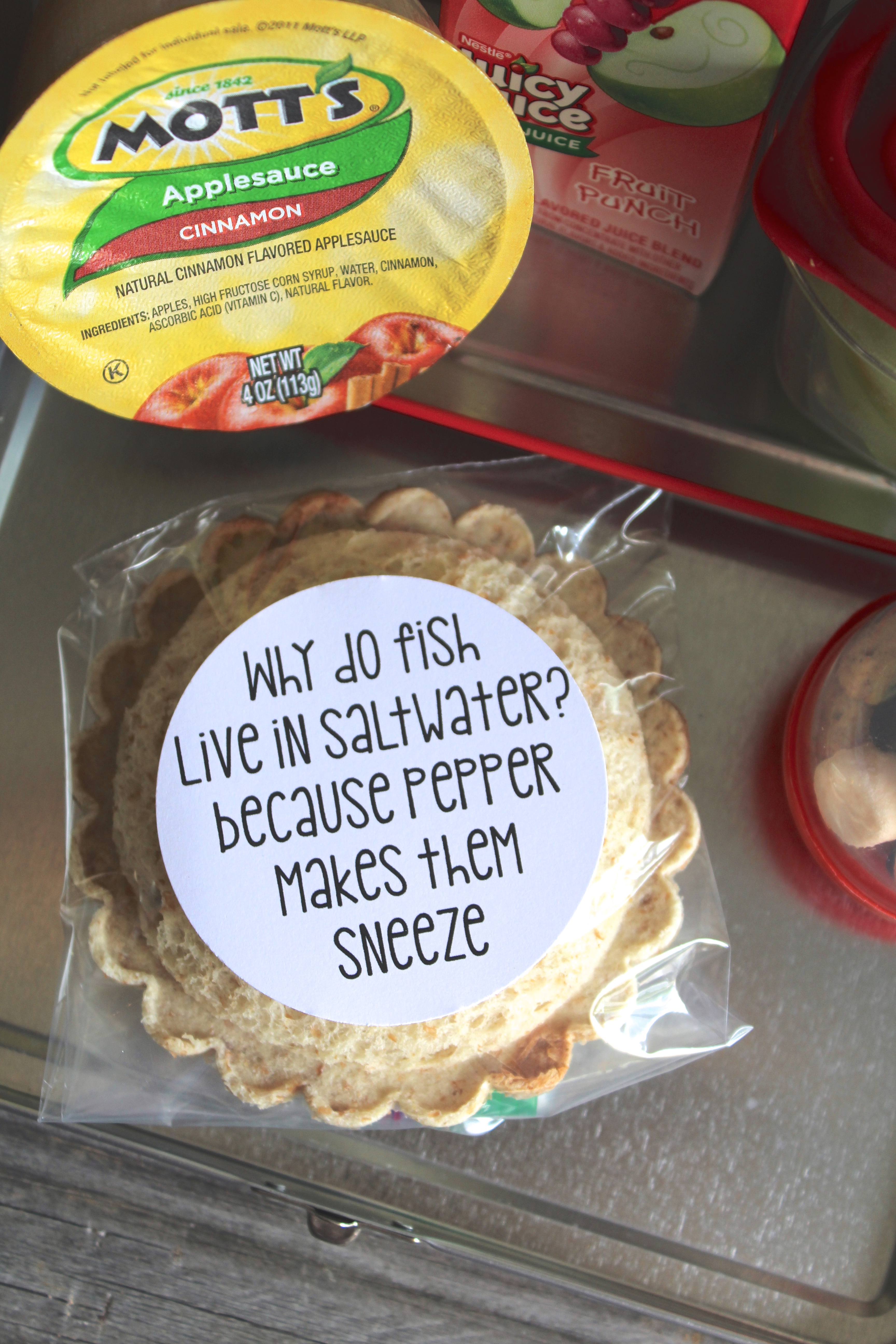 Back to School Lunch Box Jokes and Riddles - Everyday Party Magazine